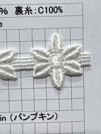 25097 Chemische Spitze Mit Schmaler Breite Kyowa Lace Sub-Foto