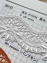 25137 Chemische Spitze Mit Schmaler Breite Kyowa Lace Sub-Foto