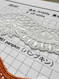 25137 Chemische Spitze Mit Schmaler Breite Kyowa Lace Sub-Foto