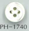 PH1740 17 Typ 4 Mm Muschelknopf