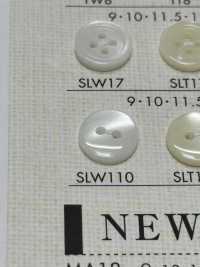 SLW110 DAIYA KNÖPFE Muschelfarbener Polyesterknopf[Taste] DAIYA BUTTON(DAIYA BUTTON) Sub-Foto