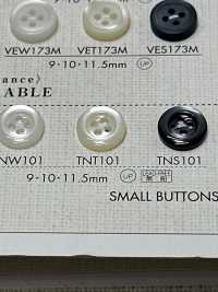 TNS101 DAIYA BUTTONS Hitzebeständiger Polyesterknopf In Shell-Ton[Taste] DAIYA BUTTON Sub-Foto