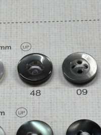 NRS18 DAIYA KNÖPFE Muschelfarbener Polyesterknopf[Taste] DAIYA BUTTON(DAIYA BUTTON) Sub-Foto