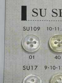 SU109 DAIYA KNÖPFE Muschelfarbener Polyesterknopf[Taste] DAIYA BUTTON(DAIYA BUTTON) Sub-Foto