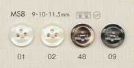 MS8 DAIYA BUTTONS Polyesterknöpfe in Muscheloptik