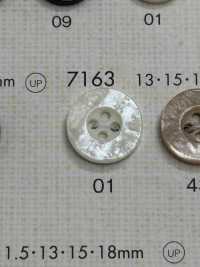 7163 DAIYA KNÖPFE Muschelfarbener Polyesterknopf[Taste] DAIYA BUTTON(DAIYA BUTTON) Sub-Foto