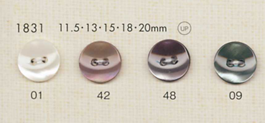 1831 DAIYA BUTTONS Polyesterknöpfe in Muscheloptik