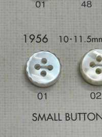 1956 DAIYA KNÖPFE Muschelfarbener Polyesterknopf[Taste] DAIYA BUTTON(DAIYA BUTTON) Sub-Foto