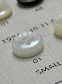 1956 DAIYA KNÖPFE Muschelfarbener Polyesterknopf[Taste] DAIYA BUTTON(DAIYA BUTTON) Sub-Foto
