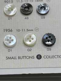 1956 DAIYA KNÖPFE Muschelfarbener Polyesterknopf[Taste] DAIYA BUTTON(DAIYA BUTTON) Sub-Foto