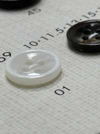 2059 DAIYA KNÖPFE Muschelfarbener Polyesterknopf[Taste] DAIYA BUTTON(DAIYA BUTTON) Sub-Foto