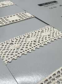 SIC-7262 Torsionsspitze Aus Bio-Baumwolle/15 Mm[Spitze] SHINDO(SIC) Unterfoto