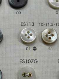 ES113 Luxuriöser Polyester-Knopf In Shell-Ton[Taste] DAIYA BUTTON Sub-Foto