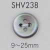SHV238 Vierloch-Perlmuttknopf