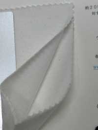 KRZ-2 30/- CLEANSE&# Jersey;[Textilgewebe] Fujisaki Textile Sub-Foto