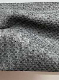 SD2020 Shadan-Blase[Textilgewebe] Masuda Sub-Foto