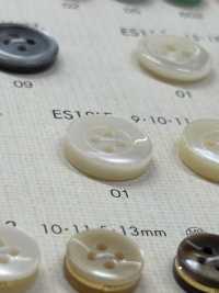 ES18LF DAIYA KNÖPFE 4-Loch-Shell-Polyesterknopf[Taste] DAIYA BUTTON(DAIYA BUTTON) Sub-Foto