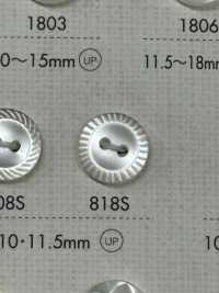 818S DAIYA BUTTONS Schalenknopf Aus Polyester Mit Zwei Löchern[Taste] DAIYA BUTTON Sub-Foto