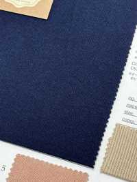FJ220140 19/- Türkisches Bio-BD-Jersey[Textilgewebe] Fujisaki Textile Sub-Foto