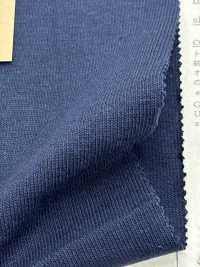 FJ220140 19/- Türkisches Bio-BD-Jersey[Textilgewebe] Fujisaki Textile Sub-Foto