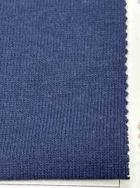 FJ220140 19/- Türkisches Bio-BD-Jersey[Textilgewebe] Fujisaki Textile Sub-Foto