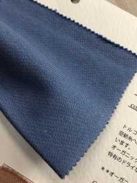 FJ220120 19/10 Türkisches Bio-BD-Fleece[Textilgewebe] Fujisaki Textile Sub-Foto