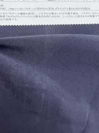 13293 Tencel (TM) Modalfaser / Polyesterpulver Chiffon Chi[Textilgewebe] SUNWELL Sub-Foto