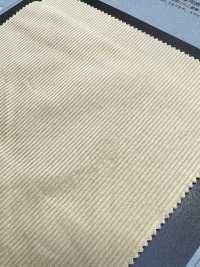 1093160 Double Woven Lightweight Sweatshirt Corduroy[Textilgewebe] Takisada Nagoya Sub-Foto