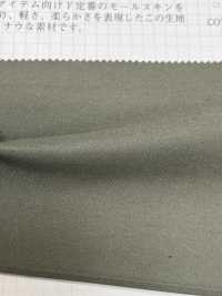 2684 Leichter Militär-Moleskin[Textilgewebe] VANCET Sub-Foto