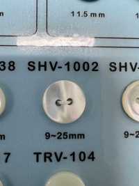 SHV1002 2-Loch Muschelknopf[Taste] DAIYA BUTTON(DAIYA BUTTON) Sub-Foto