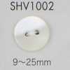 SHV1002 Zweiloch-Schalenknopf