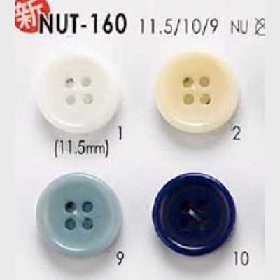 NUT160 Nuss-4-Loch-Knopf