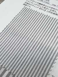 6013 ECOPET(R) Loomstate-Streifen Aus Polyester/Baumwolle[Textilgewebe] SUNWELL Sub-Foto