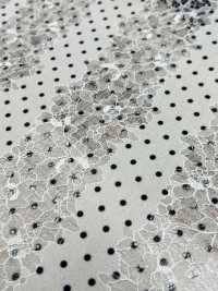 54033-3 Spitzendruck Punktmuster Klein[Textilgewebe] SAKURA-UNTERNEHMEN Sub-Foto