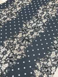 54033-3 Spitzendruck Punktmuster Klein[Textilgewebe] SAKURA-UNTERNEHMEN Sub-Foto