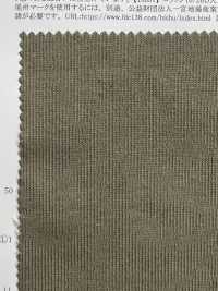 11664 16/2BD Baumwolle Tianzhu-Baumwolle[Textilgewebe] SUNWELL Sub-Foto