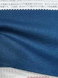 11687 50/2 Rippstrick Aus ägyptischer Baumwolle[Textilgewebe] SUNWELL Sub-Foto