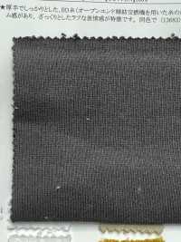13679 26/ Fleece TOP Schweres Fleece[Textilgewebe] SUNWELL Sub-Foto