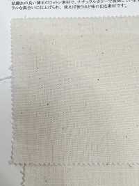 14281 Selvage Cotton Series Yarn Dyed 20 Single Thread Loomstate[Textilgewebe] SUNWELL Sub-Foto