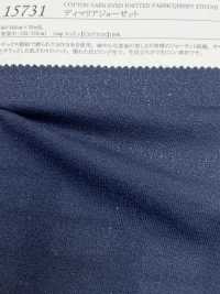 15731 DiMaria Georgette[Textilgewebe] SUNWELL Sub-Foto