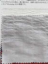 16599 Tencel (TM) Modalfaser/Baumwolle Kräuseln Tartan[Textilgewebe] SUNWELL Sub-Foto