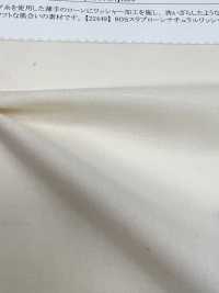 22450 60 Single Thread Slab Rasen Natural Washer Processing[Textilgewebe] SUNWELL Sub-Foto