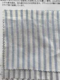 35368 40-fädige Kräuselstreifen Aus Bio-Baumwolle[Textilgewebe] SUNWELL Sub-Foto