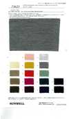 73623 Ausgestellter Jersey