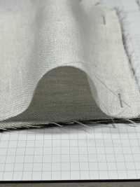 2217 Leinen-Denim[Textilgewebe] Feines Textil Sub-Foto
