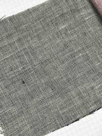 2213 Leinen-Chambray[Textilgewebe] Feines Textil Sub-Foto