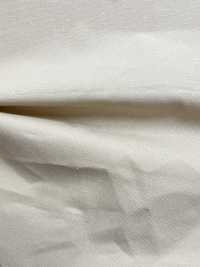 BD3027 Nep Weather Cloth Aus Bio-Baumwolle/Seide[Textilgewebe] COSMO TEXTILE Sub-Foto