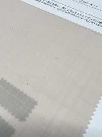 22449 80 Single Thread Slab Rasen Natural Washer Processing[Textilgewebe] SUNWELL Sub-Foto