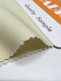 SK8000 Intelligente Cassidos[Textilgewebe] Masuda Sub-Foto