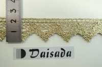 DS91 Lahme Spitze 23mm[Bandbandschnur] Daisada Sub-Foto